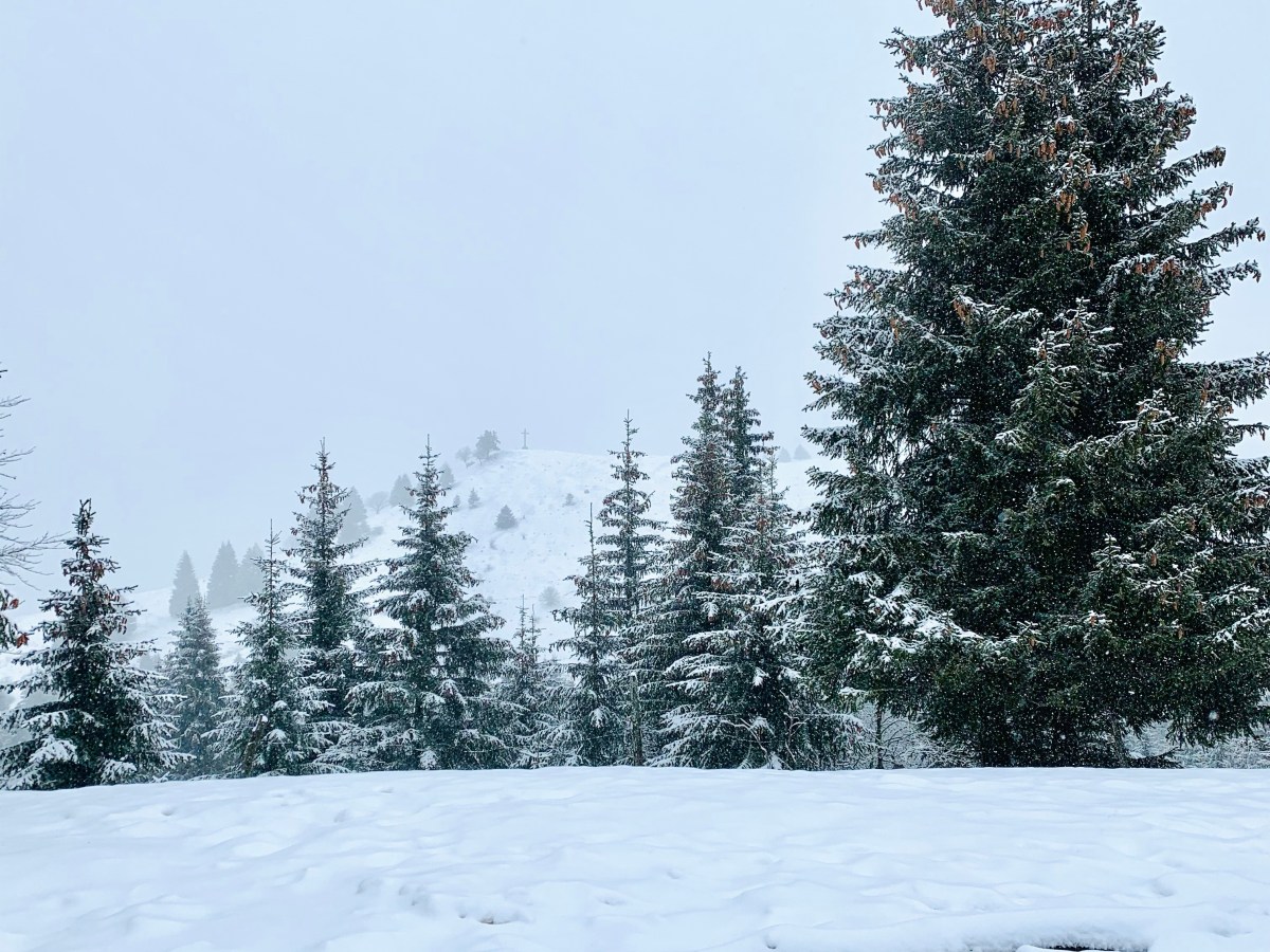 Escapade en raquettes à la Croix des&nbsp;Bergers